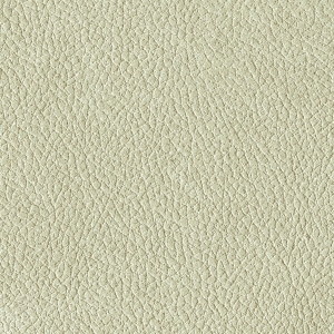 细纹皮革-ID:6380453