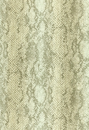 细纹皮革-ID:6380465