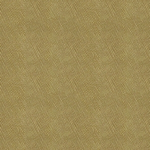 细纹皮革-ID:6380495