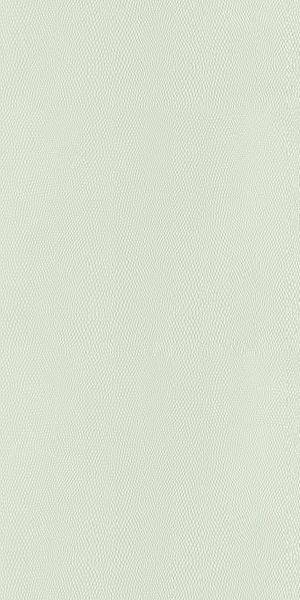 细纹皮革-ID:6380575