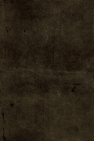 细纹皮革-ID:6380606