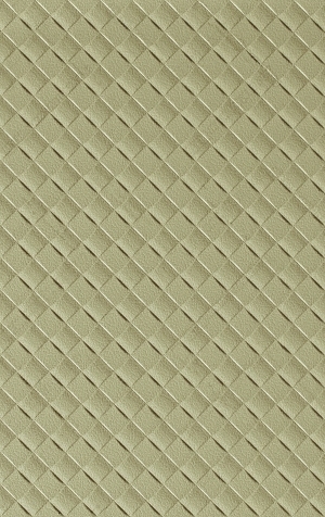 细纹皮革-ID:6380616