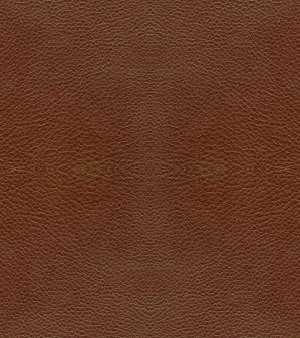 细纹皮革-ID:6380631