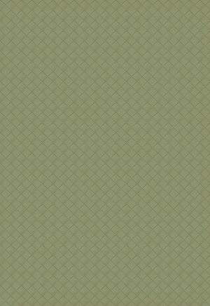 细纹皮革-ID:6380694