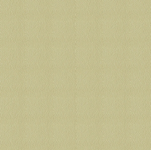 细纹皮革-ID:6380699