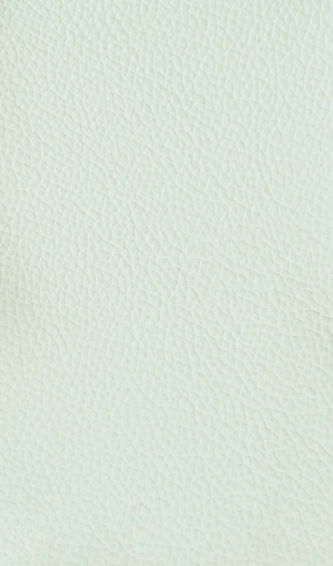 细纹皮革-ID:6380763