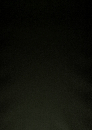 皮革-ID:6380802