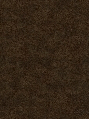 皮革-ID:6380859
