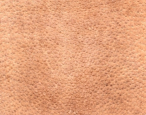 皮革-ID:6380885