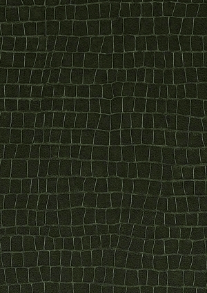 皮革-ID:6380900