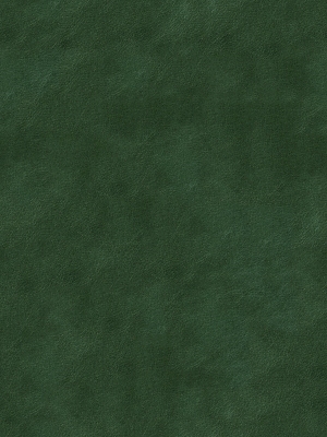 皮革皮纹-ID:6380924