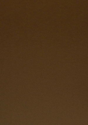 皮革皮纹-ID:6380928