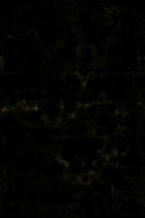 皮革-ID:6380940
