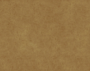 皮革-ID:6380943