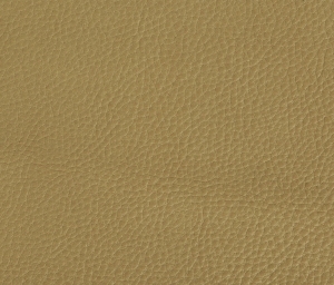 皮革-ID:6380956