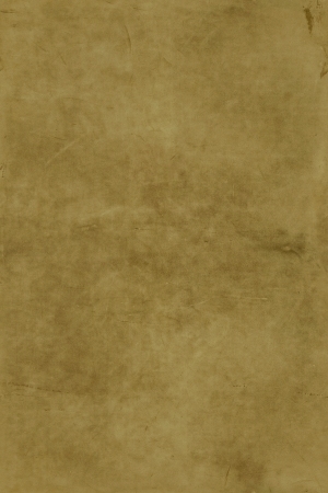 细纹皮革-ID:6381029