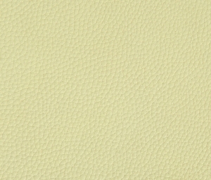 细纹皮革-ID:6381116