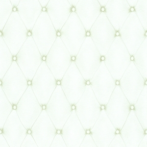 细纹皮革-ID:6381124