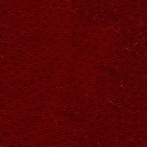 细纹皮革-ID:6381160