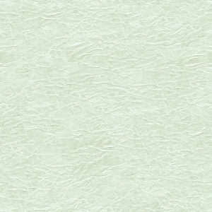 细纹皮革-ID:6381187