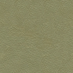 细纹皮革-ID:6381189