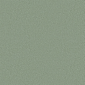 皮革-ID:6381295