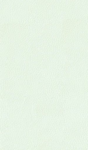 皮革-ID:6381302