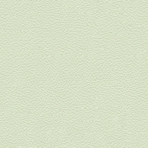 皮革-ID:6381304