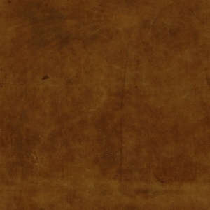 皮革-ID:6381352