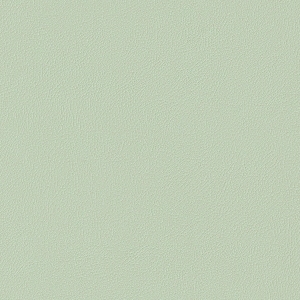 皮革-ID:6381373