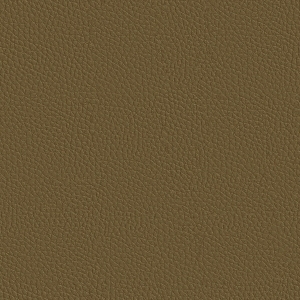 皮革-ID:6381401
