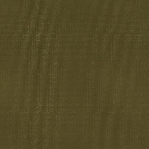 ModernFine Grain Leather