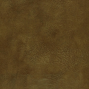 ModernFine Grain Leather
