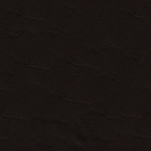 ModernFine Grain Leather