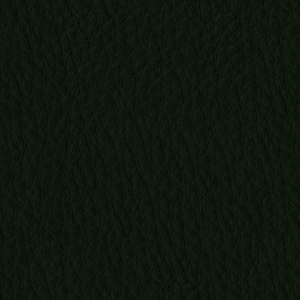 ModernFine Grain Leather