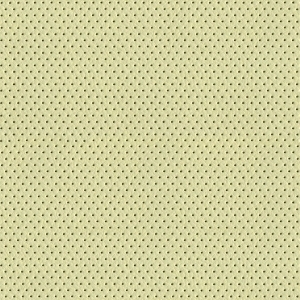 ModernFine Grain Leather