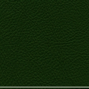 ModernFine Grain Leather