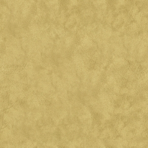 ModernFine Grain Leather