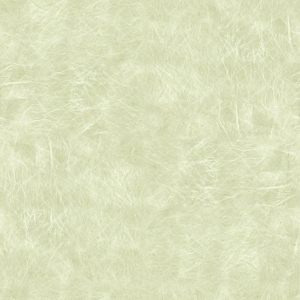 ModernFine Grain Leather