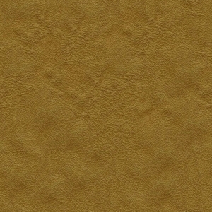 ModernFine Grain Leather