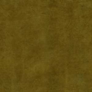 ModernFine Grain Leather