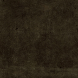 ModernFine Grain Leather