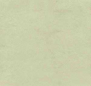 ModernFine Grain Leather