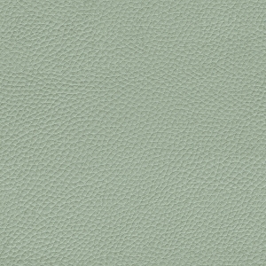 ModernFine Grain Leather