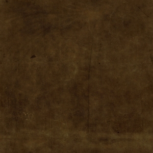 ModernFine Grain Leather