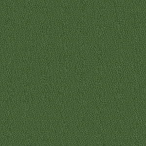 ModernFine Grain Leather