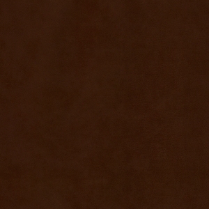 ModernFine Grain Leather