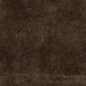 ModernFine Grain Leather