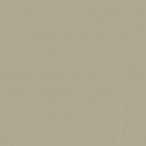 ModernFine Grain Leather