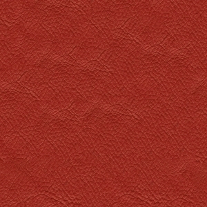 ModernFine Grain Leather